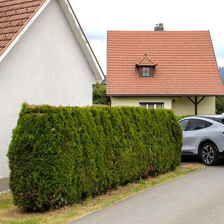 Flat Bull Appartement Mit Garten Sankt Lorenzen bei Knittelfeld Buitenkant foto