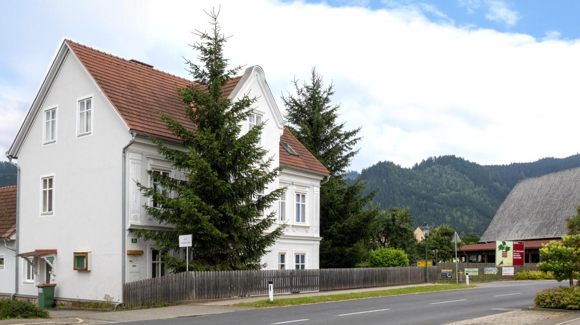 Flat Bull Appartement Mit Garten Sankt Lorenzen bei Knittelfeld Buitenkant foto
