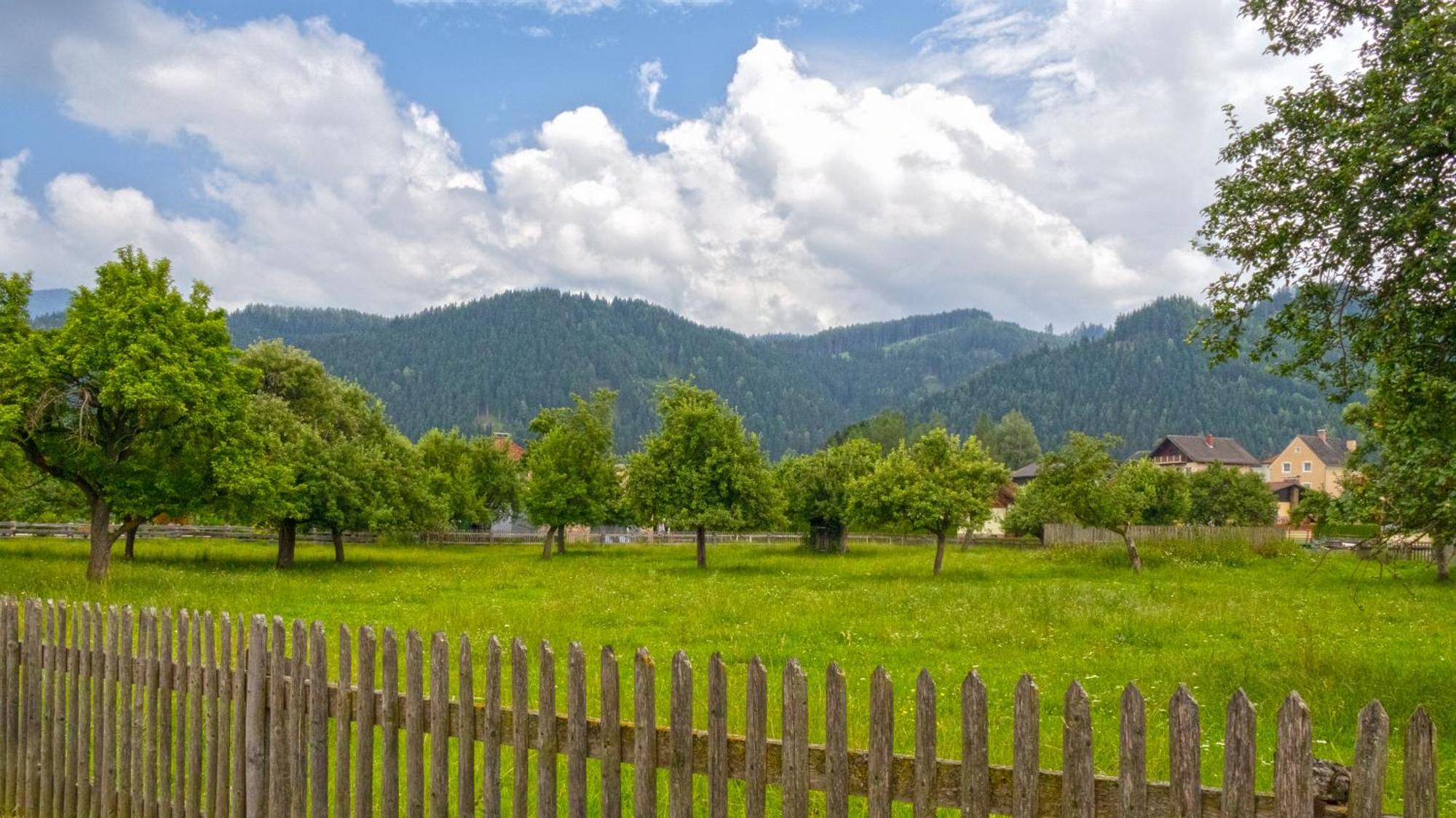Flat Bull Appartement Mit Garten Sankt Lorenzen bei Knittelfeld Buitenkant foto